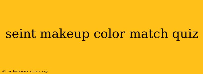 seint makeup color match quiz