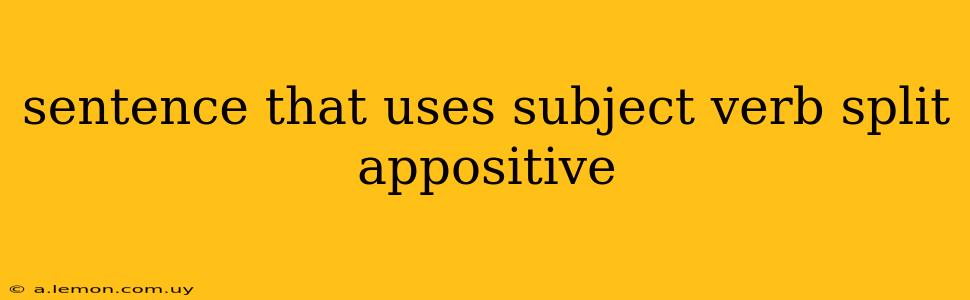 sentence that uses subject verb split appositive