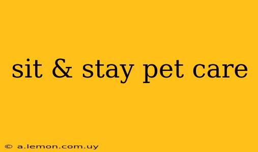 sit & stay pet care