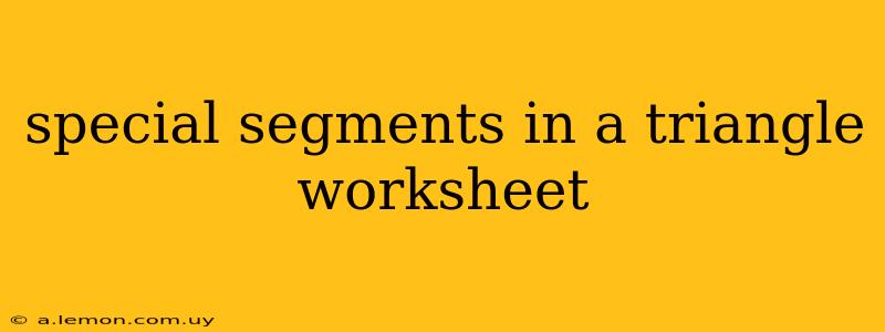 special segments in a triangle worksheet