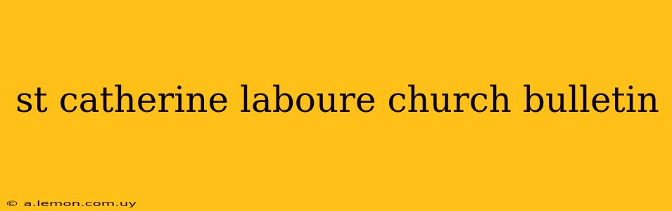 st catherine laboure church bulletin