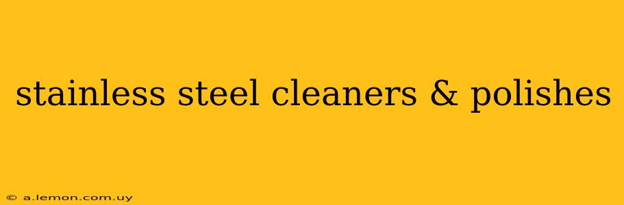 stainless steel cleaners & polishes