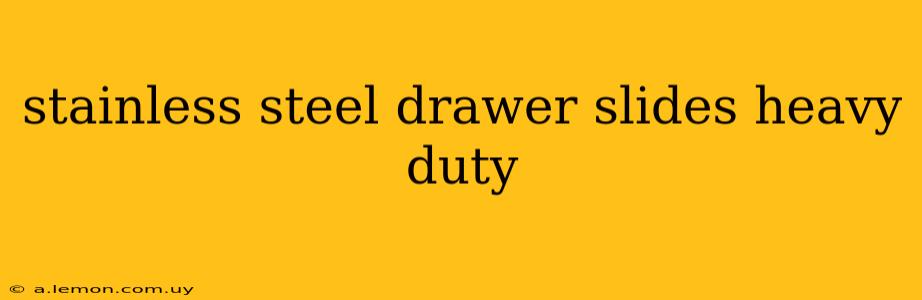 stainless steel drawer slides heavy duty