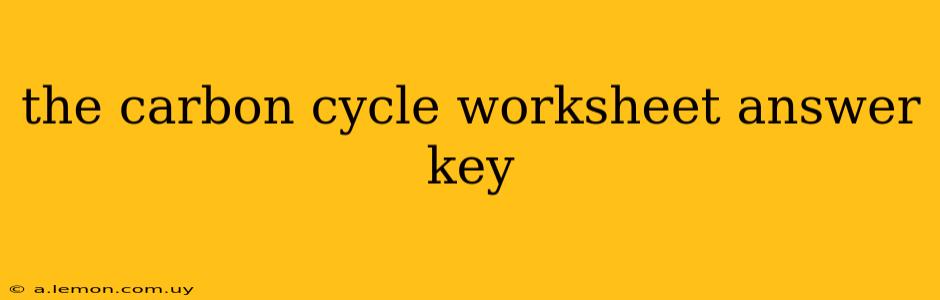 the carbon cycle worksheet answer key