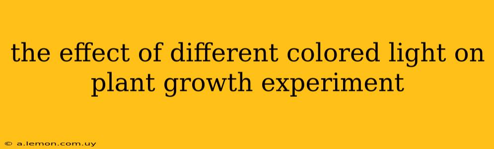 the effect of different colored light on plant growth experiment