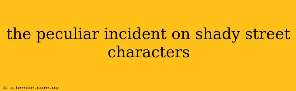 the peculiar incident on shady street characters