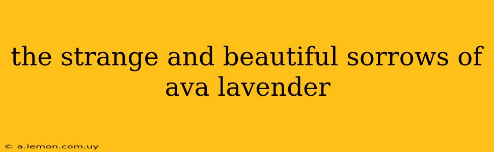 the strange and beautiful sorrows of ava lavender