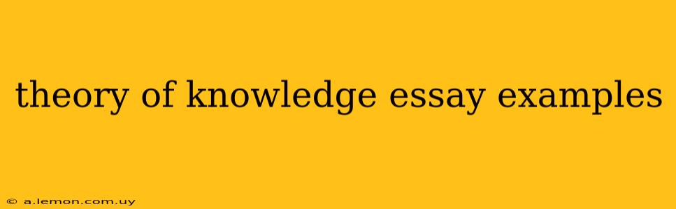 theory of knowledge essay examples