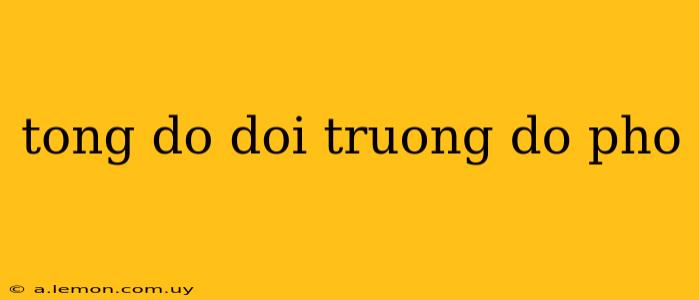 tong do doi truong do pho