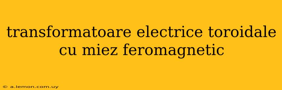 transformatoare electrice toroidale cu miez feromagnetic