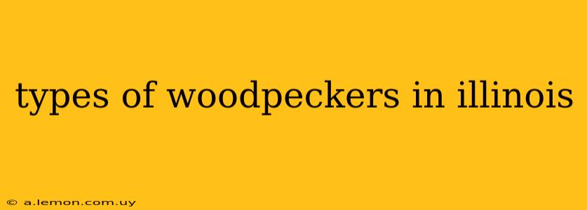 types of woodpeckers in illinois