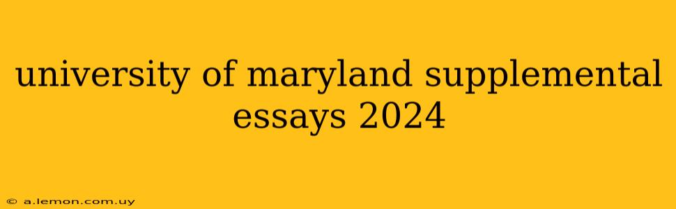 university of maryland supplemental essays 2024