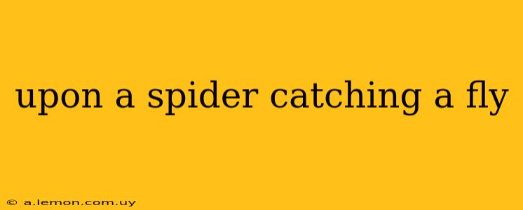 upon a spider catching a fly