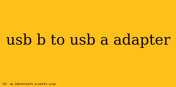 usb b to usb a adapter