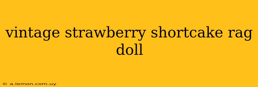 vintage strawberry shortcake rag doll