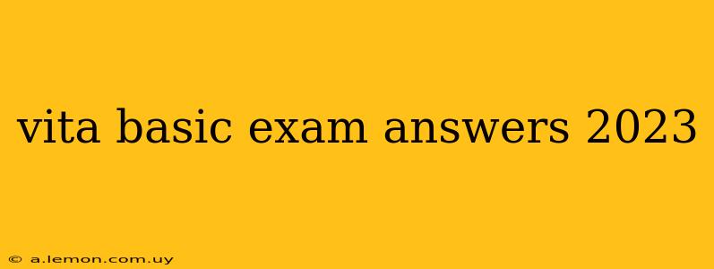 vita basic exam answers 2023