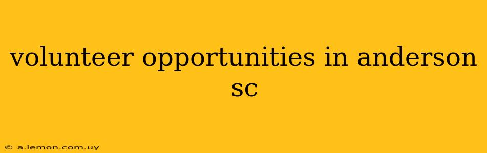 volunteer opportunities in anderson sc