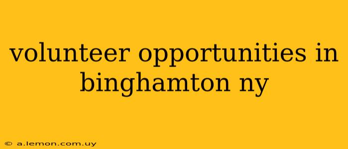 volunteer opportunities in binghamton ny