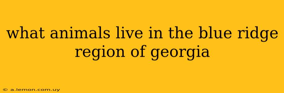 what animals live in the blue ridge region of georgia