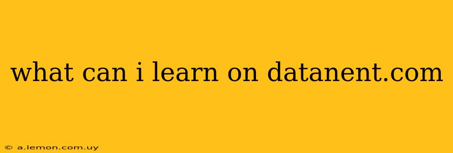 what can i learn on datanent.com