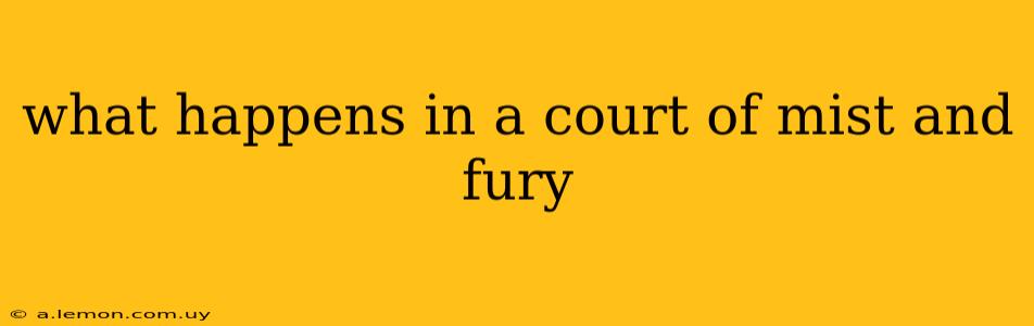 what happens in a court of mist and fury