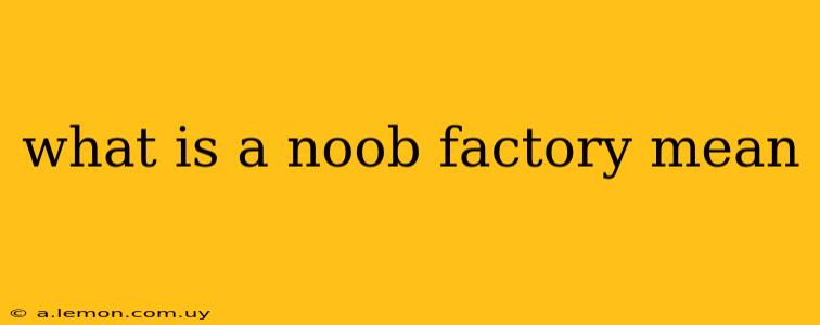 what is a noob factory mean