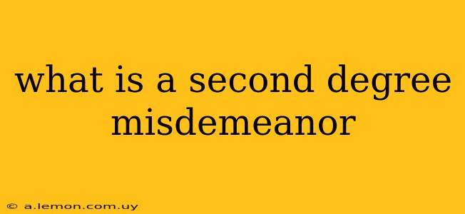 what is a second degree misdemeanor