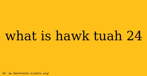 what is hawk tuah 24