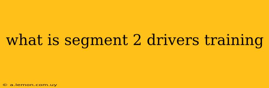 what is segment 2 drivers training