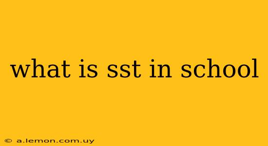 what is sst in school