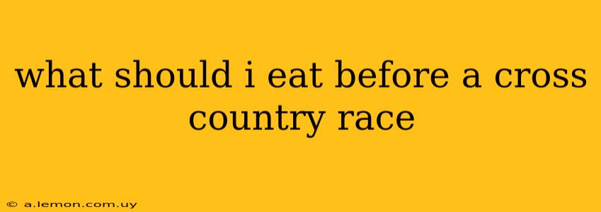 what should i eat before a cross country race