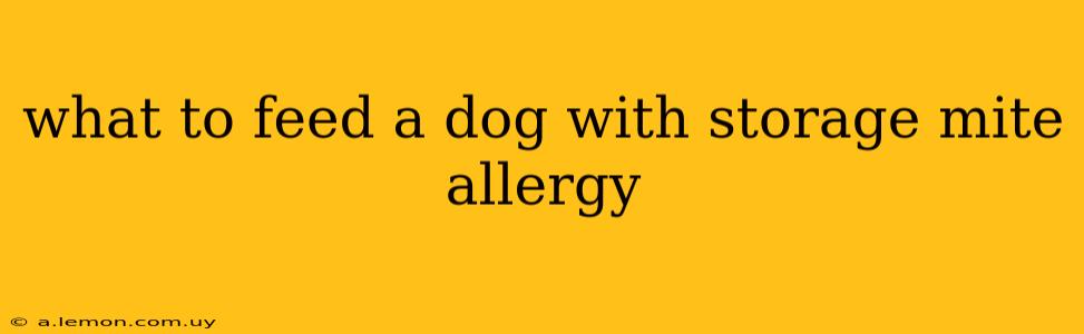 what to feed a dog with storage mite allergy