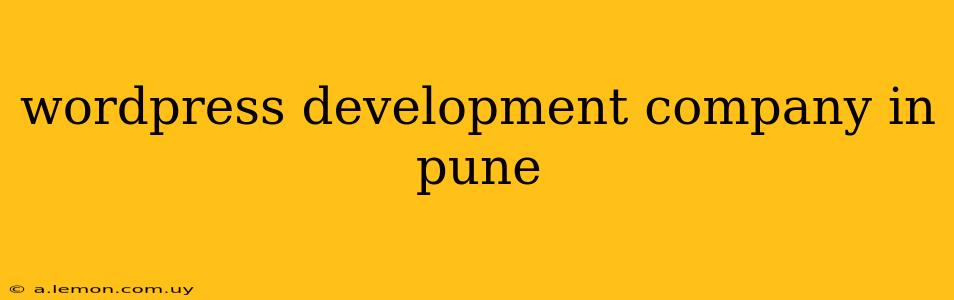 wordpress development company in pune