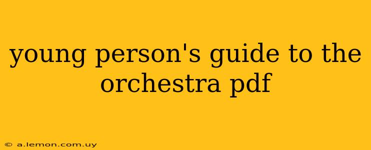 young person's guide to the orchestra pdf