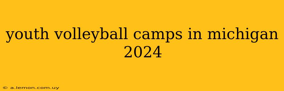 youth volleyball camps in michigan 2024