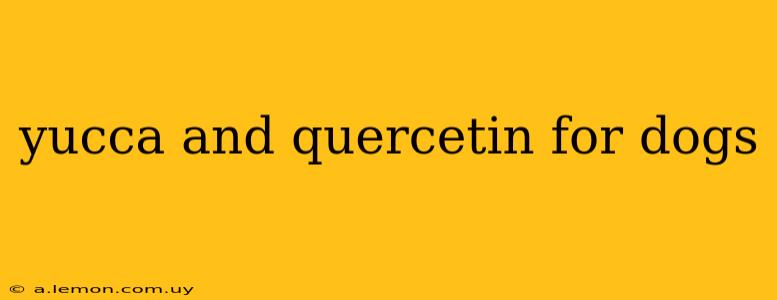 yucca and quercetin for dogs